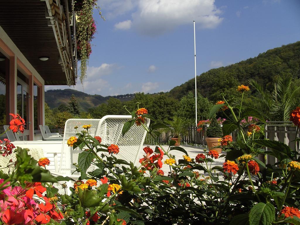 Haus Klosterblick 크로프 외부 사진